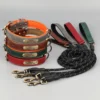 12FD423B52305AC0D94BD7F5085CE9F7.webp Personalized PU Leather Dog Collar Set