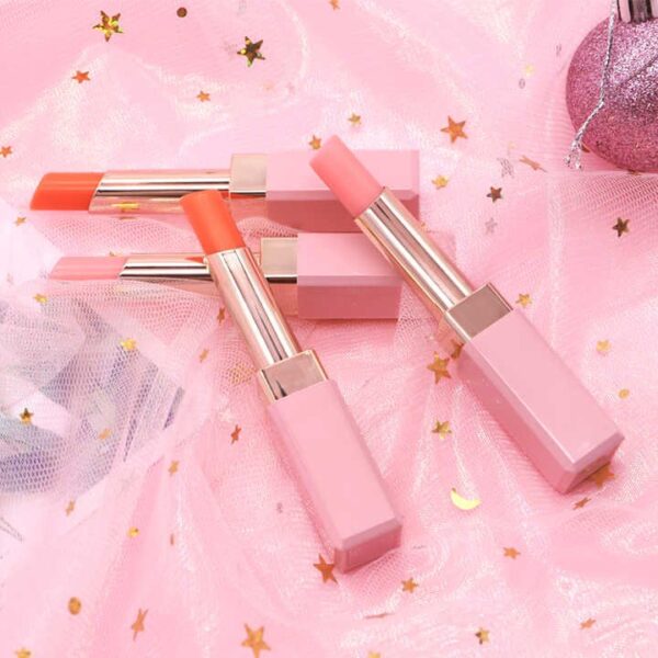 HOJO Waterproof Lipstick Set