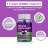 Creatine Monohydrate Energy Boost Gummies